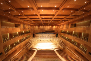 acustica miguel delibes valladolid