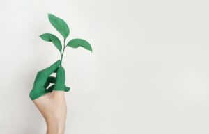 Membranas acústicas y eficiencia energética