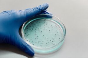 La Resistencia de las Membranas Acústicas a Bacterias y Hongos