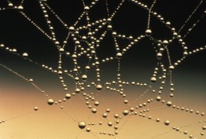 Reducción de Vibraciones con Membranas Acústicas