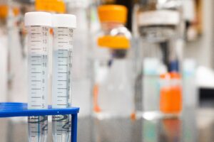 Evaluación de Durabilidad de Membranas Acústicas Proyectadas